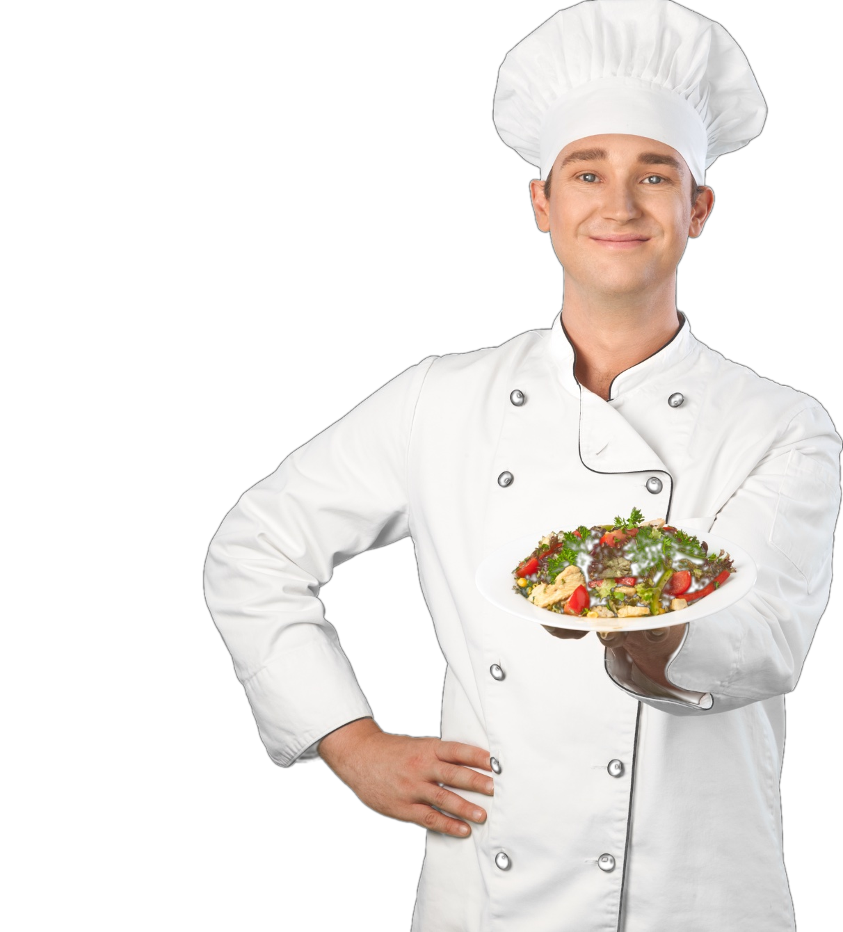 Professional Chef